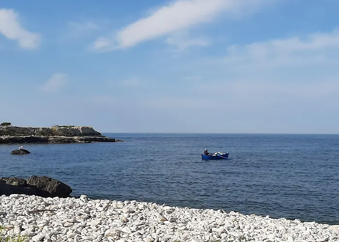 לינה וארוחת בוקר Agora 3*