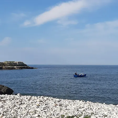 Alojamento de Acomodação e Pequeno-almoço Agora 3*