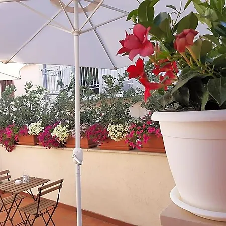 Bed and Breakfast Agora 3*